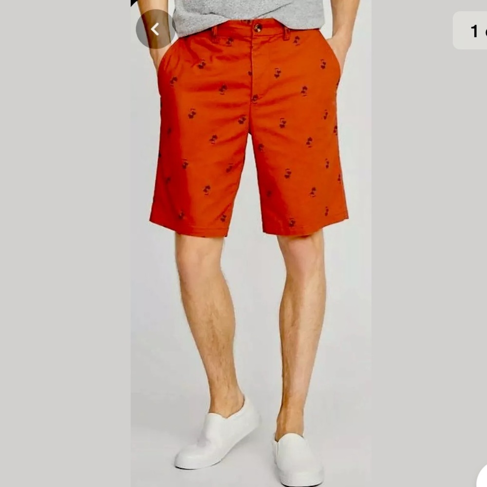 NWT Men’s “Summer Sienna” Shorts w/Palm Trees